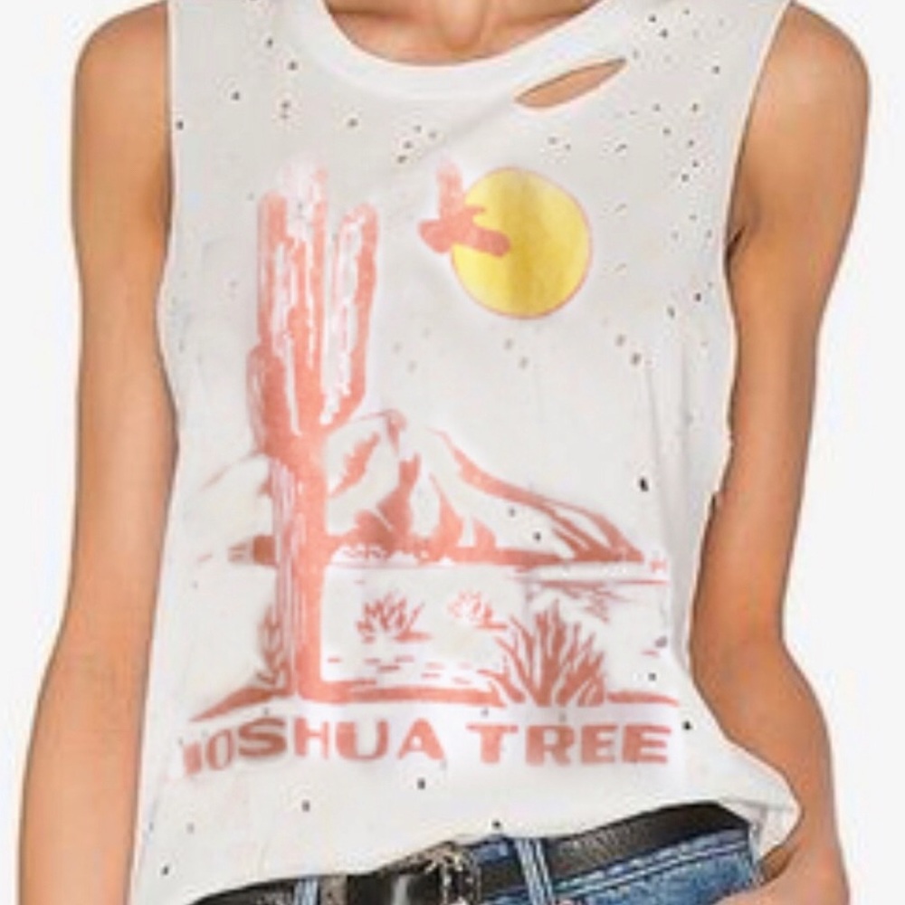 Daydreamer Joshua Tree Destructed Hole Tank